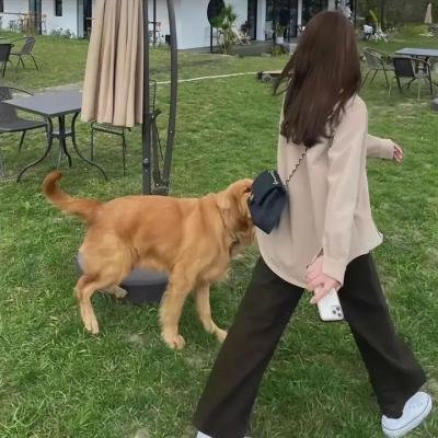 兔儿爷
